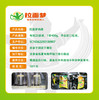 【新款家庭装】拉面梦专用鸡精一袋（400g*1袋） 商品缩略图3