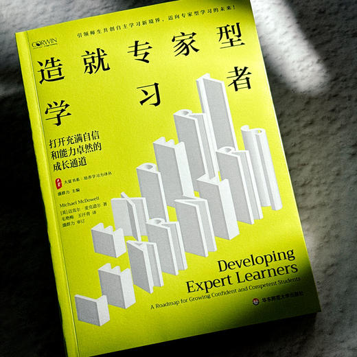 大夏书系·造就专家型学习者：打开充满自信和能力卓然的成长通道 商品图1