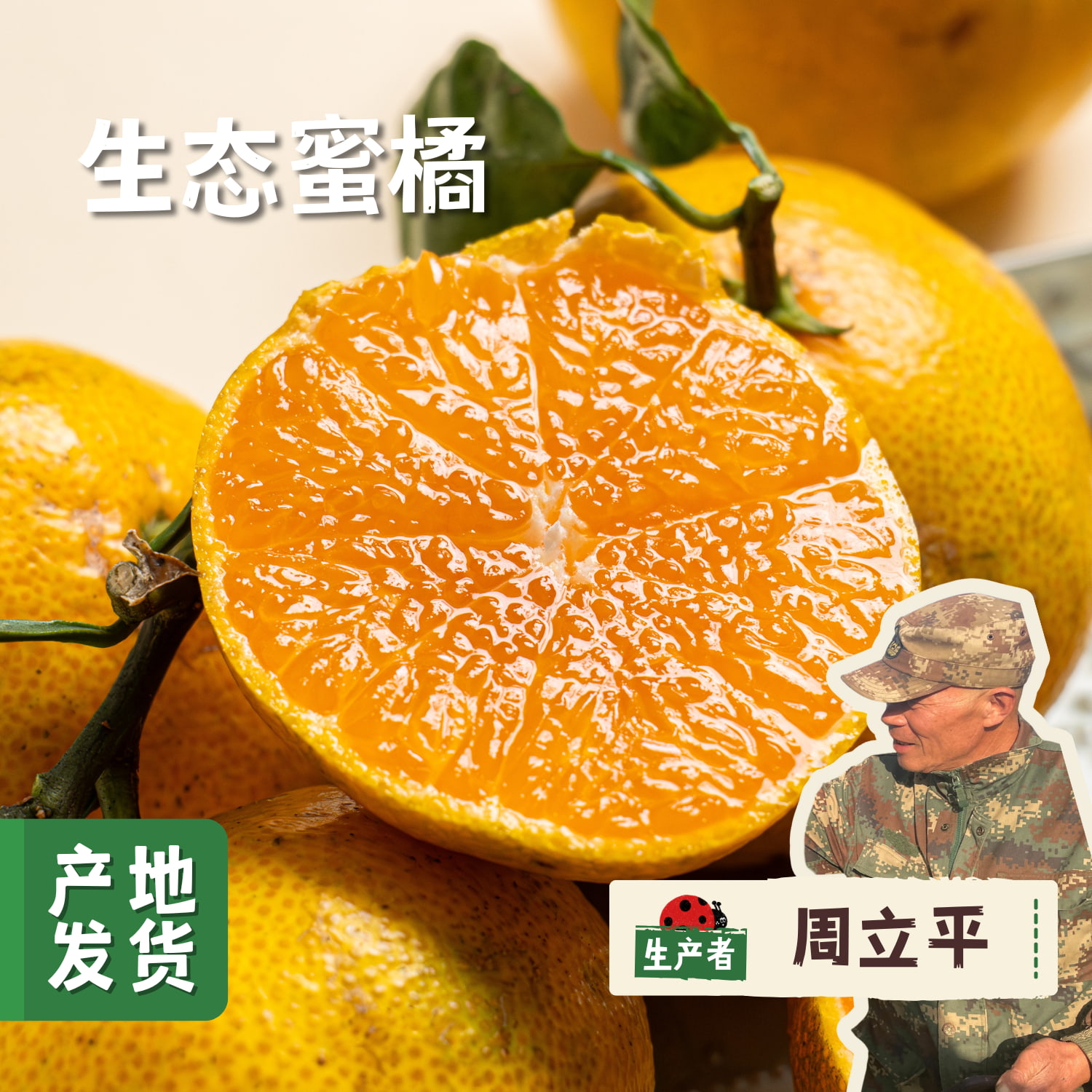 【买3斤送2斤】生态蜜橘 3斤/5斤 | 来自上海长兴岛，合作农友生产，生产者：周立平 *【公平贸易农人定价】