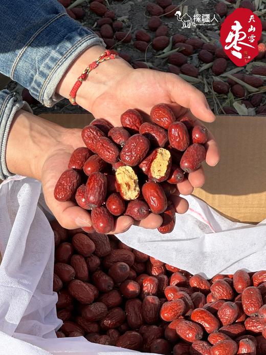 新疆天山雪枣  树上自然吊干100+天  肉质紧实糯韧  不催熟不膨大 商品图3