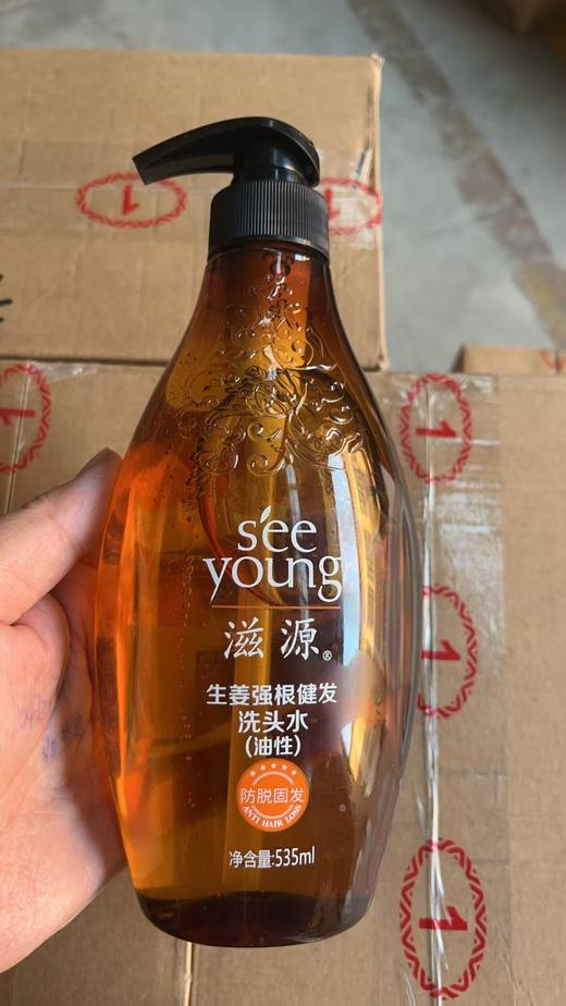 滋源 生姜强根健发洗发水油性26年12月 商品图2