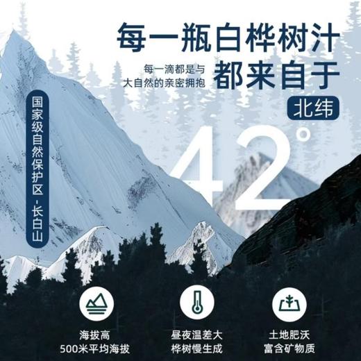 【微迷】白桦树原汁 商品图1