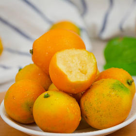 当季新鲜【脆蜜金柑】💥吃完嗓子润润的！🍊口口蜜甜，果肉肥厚香软👀饱满大个，脆甜爽口～精选2斤大果礼盒装