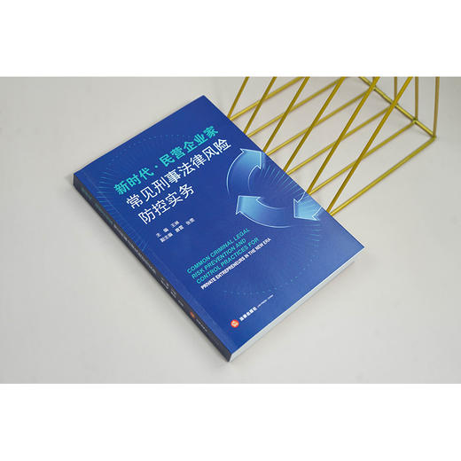 新时代·民营企业家常见刑事法律风险防控实务 王琳主编 唐雷 张雯副主编 法律出版社 商品图1