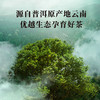 八马茶业 | 信记号存珍云南普洱班章生茶+冰岛熟茶组合装120g 商品缩略图2