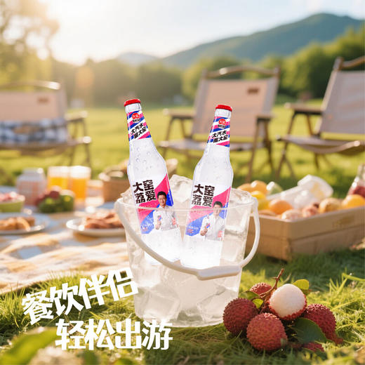 大窑荔爱 荔枝味果味汽水 520ml 商品图4