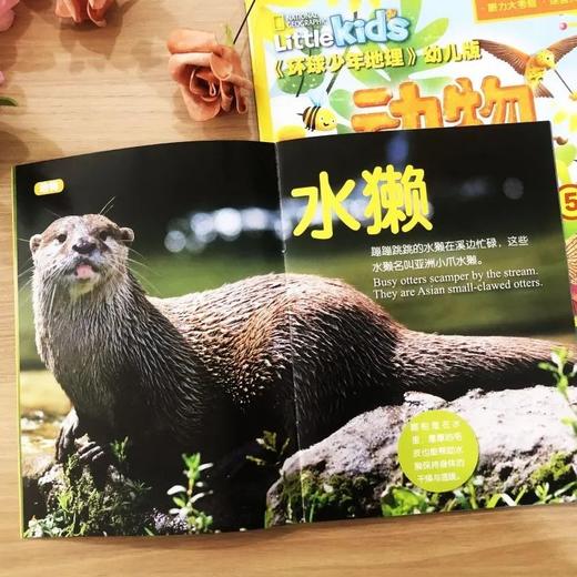 【订阅】环球少年地理幼儿版 Little Kids（2026年刊12期24本）赠送：鲜菇魔盒 商品图3