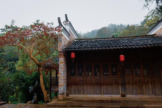 04.08岭南红叶世界、云髻山古镇2天摄影团 商品图5