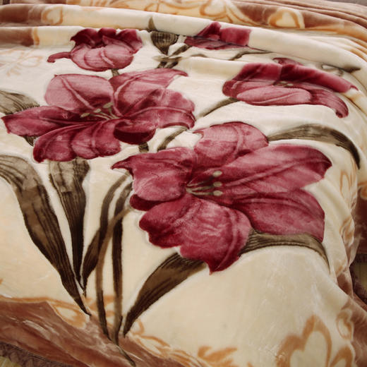 547545684-拉舍尔双层毛毯秋冬加厚成人儿童毛毯法兰绒毯子-RJ104 商品图1