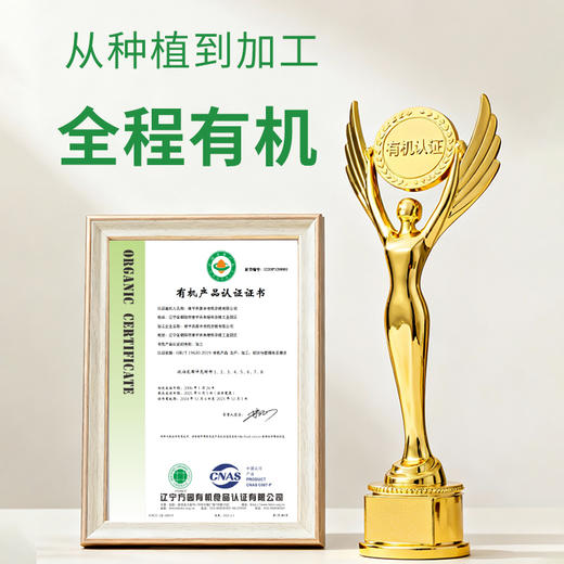 时令堂有机黄小米750g新粮上市养胃滋补 商品图5