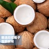 【买12送12】双椰汁 椰子汁 生椰汁 商品缩略图1