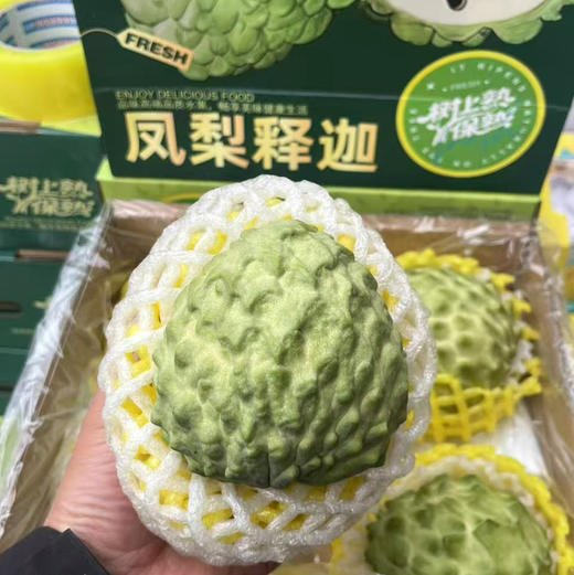 【牛奶释迦礼盒】放软超级美味，新鲜到店，硬，常温放软置尾部有裂口就可以食用，营养充沛，健康美味，超级香甜！ 商品图2