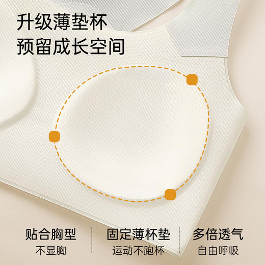 A5-【三阶段初高中生少女文胸】内衣14-18岁学生无痕防凸点文胸  菁梦花园/悦动青甜莓蜜语/兔耳摇摇【青春系列】 商品图1