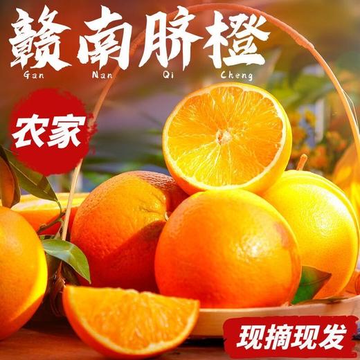 【福利❗️19.9抢3斤赣南脐橙】产地现摘现发，新鲜直达，甘甜爽口，皮薄肉厚！正宗江西赣州新鲜水果当季整箱手剥橙子现摘L 商品图0