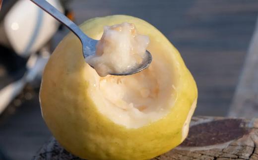 福建漳州「奶油番石榴」！ 低糖低热量的“水果奶油蛋糕”！ 商品图4