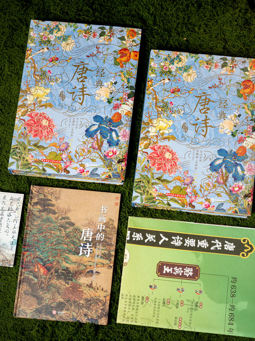 《经典唐诗》典藏名画版，全解全注全译，囊括348首经典诗作，89万字42个专题拓展，全彩古画 商品图4
