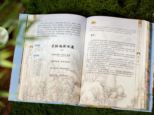 《经典唐诗》典藏名画版，全解全注全译，囊括348首经典诗作，89万字42个专题拓展，全彩古画 商品图6