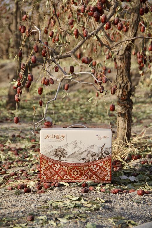 新疆天山雪枣  树上自然吊干100+天  肉质紧实糯韧  不催熟不膨大 商品图8
