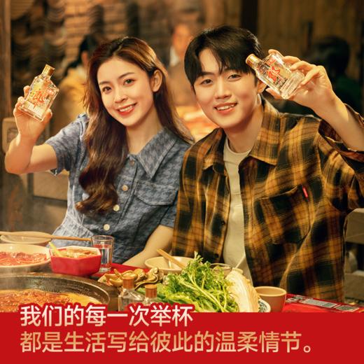 郎酒 经典小郎酒 45度兼香型白酒 100ml  24瓶整箱装 商品图2