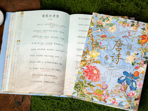《经典唐诗》典藏名画版，全解全注全译，囊括348首经典诗作，89万字42个专题拓展，全彩古画 商品图7