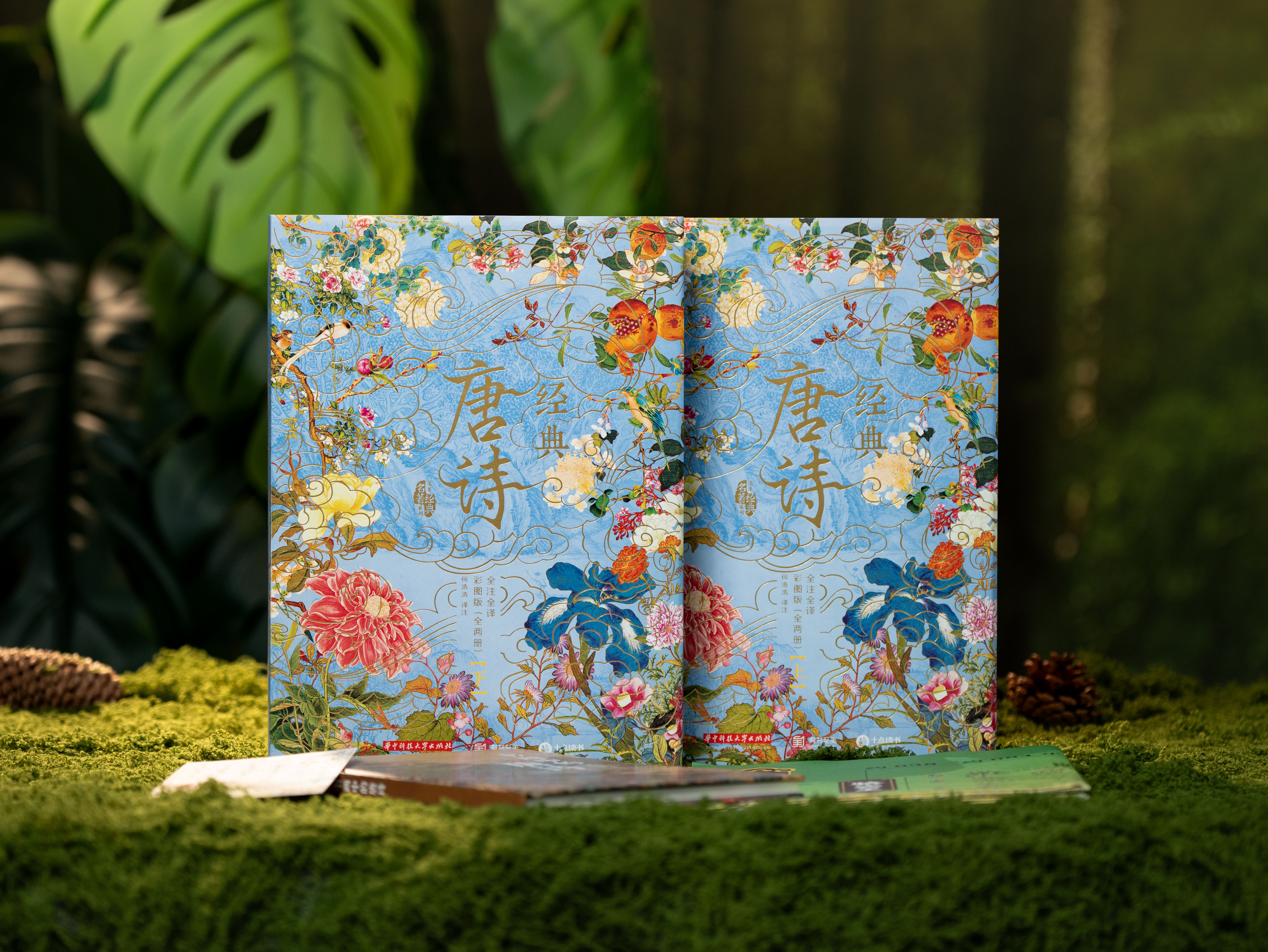 【9岁+】《经典唐诗》典藏名画版，全解全注全译，囊括348首经典诗作，89万字42个专题拓展，全彩古画