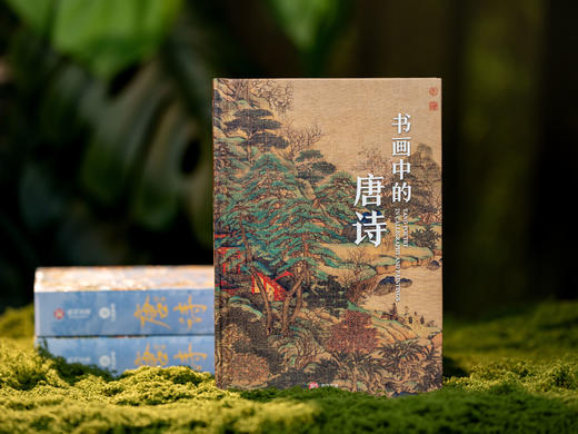 《经典唐诗》典藏名画版，全解全注全译，囊括348首经典诗作，89万字42个专题拓展，全彩古画 商品图11