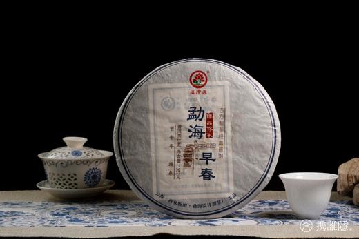 甜润饱满 花香四溢 | 溢沣源·勐海早春（2014） 商品图9