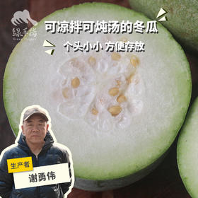 生态水果冬瓜 | 合作生产*Ecological wax gourd | Partner Production