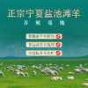 【主持人亲测严选·正宗宁夏盐池滩羊】 盐池政府力荐 专属养殖基地  鲜甜不膻 奶香十足 精细分割 当天下单 当天宰杀 商品缩略图2