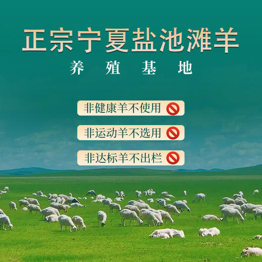 【主持人亲测严选·正宗宁夏盐池滩羊】 盐池政府力荐 专属养殖基地  鲜甜不膻 奶香十足 精细分割 当天下单 当天宰杀 商品图2