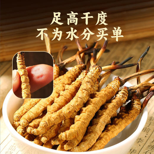 【西藏精品冬虫夏草】黄金虫草王！西藏高海拔 2025头期新草 干净免洗 一年只挖20天！中国科学院溯源！ 商品图1