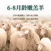 【主持人亲测严选·正宗宁夏盐池滩羊】 盐池政府力荐 专属养殖基地  鲜甜不膻 奶香十足 精细分割 当天下单 当天宰杀 商品缩略图4