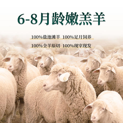 【主持人亲测严选·正宗宁夏盐池滩羊】 盐池政府力荐 专属养殖基地  鲜甜不膻 奶香十足 精细分割 当天下单 当天宰杀 商品图4