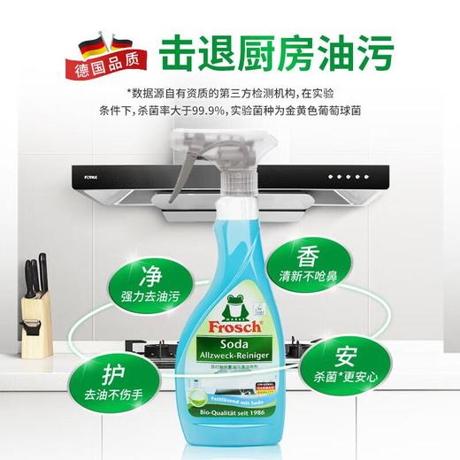 Frosch福纳丝  苏打厨房重油污清洁喷剂500ml 商品图1
