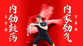 内劲鼓荡（自学课）+内家劲气（实操课）
