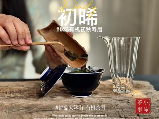 【新品】带着鲜艳明媚花香的2025有机秋寿眉《初晞》，甜味与花香在口腔里荡漾，如月下桂花一般，鲜美，清丽，甜馥（1斤收藏装） 商品图4