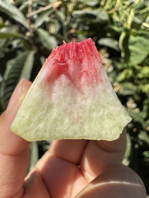 大理冬桃甜蜜上市‼️ 商品图5