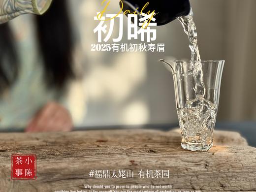 【新品】带着鲜艳明媚花香的2025有机秋寿眉《初晞》，甜味与花香在口腔里荡漾，如月下桂花一般，鲜美，清丽，甜馥（1斤收藏装） 商品图8