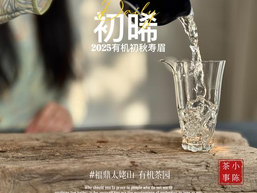 【新品】带着鲜艳明媚花香的2025有机秋寿眉《初晞》，甜味与花香在口腔里荡漾，如月下桂花一般，鲜美，清丽，甜馥（1斤收藏装） 商品图7