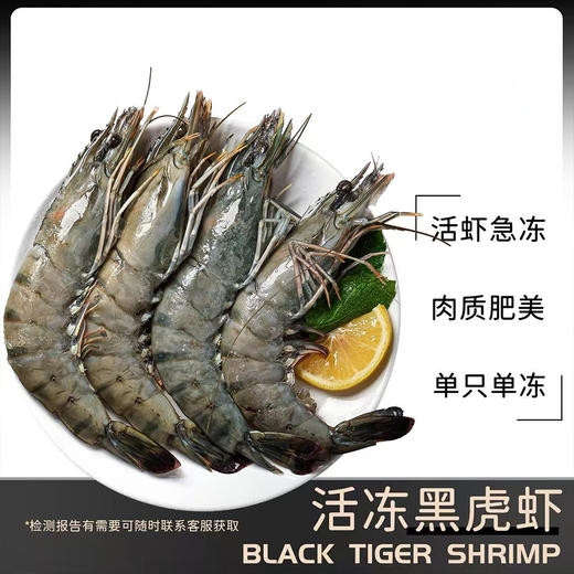 【杨博士甄选】活冻特大黑虎虾16/20规格A级鲜活速冻 肉质Q弹劲道 晶莹剔透 鲜嫩弹牙 商品图2