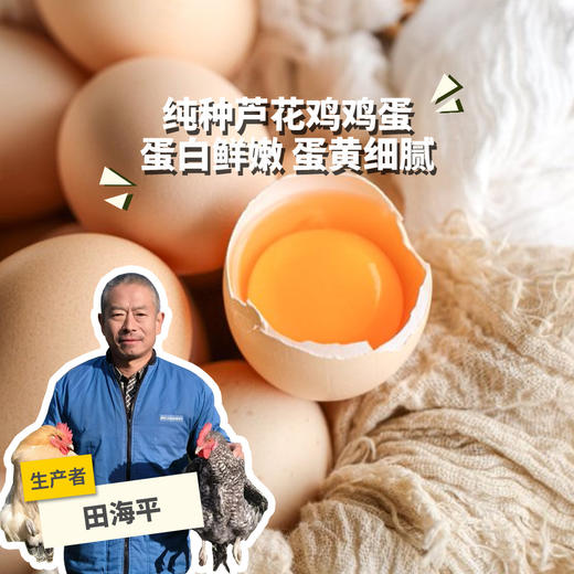 生态芦花鸡鸡蛋（新增初生蛋） | 合作生产 *Eco-egg | Partner Production 商品图0