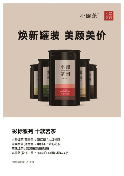 小罐茶园 彩标系列铁观音灌装茶110g*1单罐装（清香型） 商品图7
