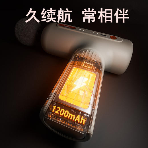 飞尔顿迷你口袋筋膜枪 商品图1