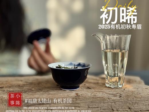【新品】带着鲜艳明媚花香的2025有机秋寿眉《初晞》，甜味与花香在口腔里荡漾，如月下桂花一般，鲜美，清丽，甜馥（1斤收藏装） 商品图10