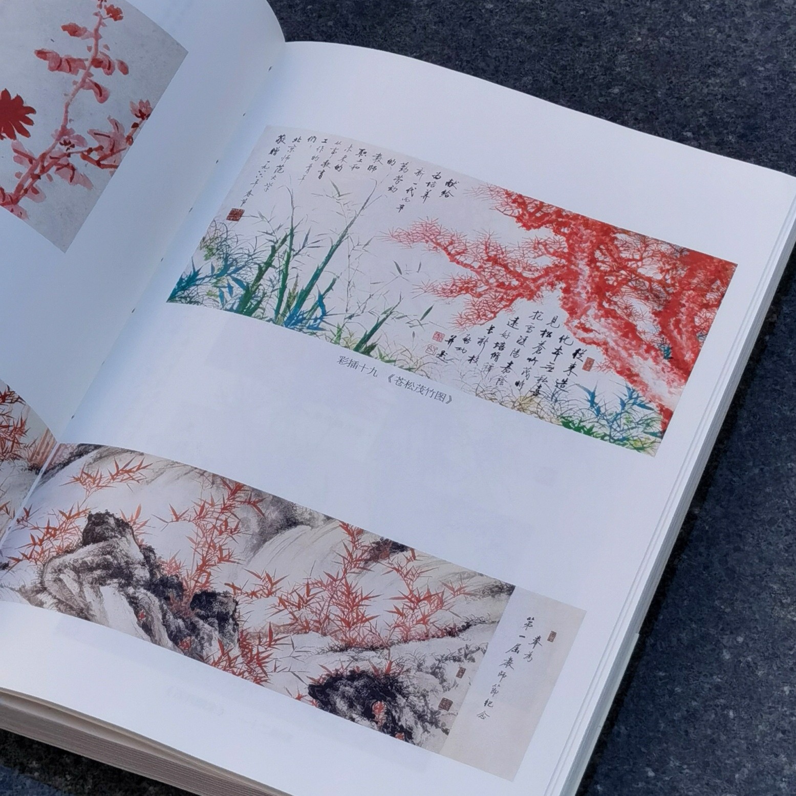 【4天后发货】《启功评传》，16开，平装，述往丛书之一种，赵仁珪著，北京出版社2017年一版一印，480页，定价98，售价28