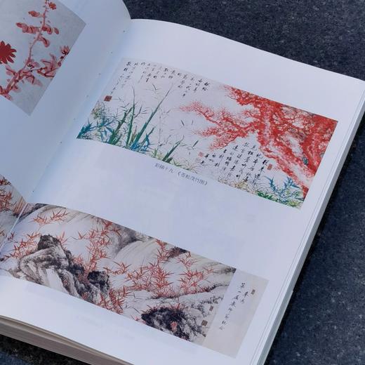 【4天后发货】《启功评传》，16开，平装，述往丛书之一种，赵仁珪著，北京出版社2017年一版一印，480页，定价98，售价28 商品图0