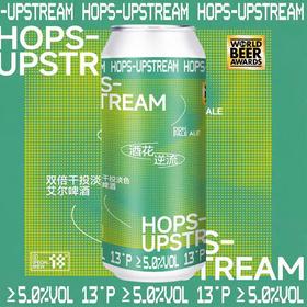 拾捌精酿 酒花逆流 500ml