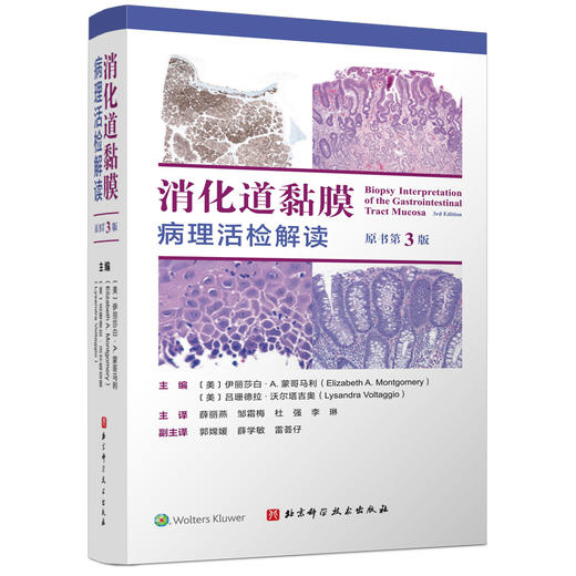 消化道黏膜病理活检解读（原书第3版） 商品图2