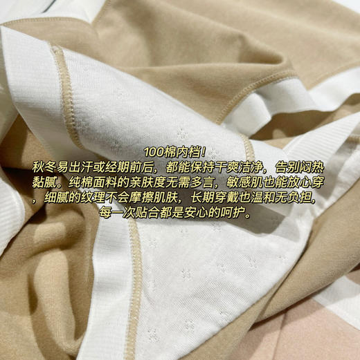 lu秋冬磨毛羊绒感内裤4条装1114 商品图6