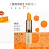 美肌卫士红萝卜素奢雅唇膏（橙红）礼盒装+送590002 旅行装1支 商品缩略图4